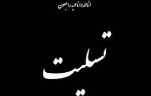 پیام تسلیت وزیر بهداشت به درگذشت شهادت‌گونه نوجوان فداکار «علی لندی»