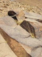 توقف فعالیت معدن‌کاران در محدوده سنگ نگاره های تیمره