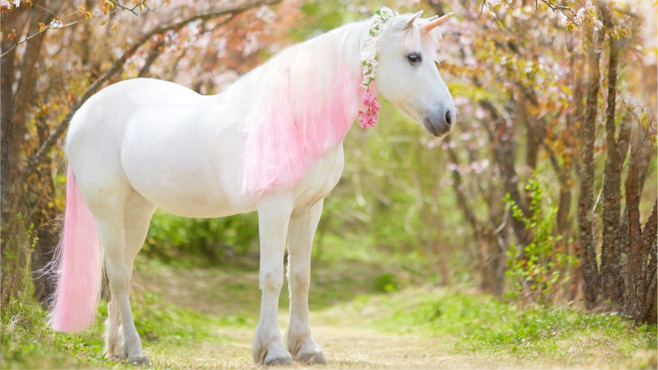 SEC ادعا می کند که اپراتورهای پشت بزرگترین بورس غیر متمرکز جهان را حذف می کند