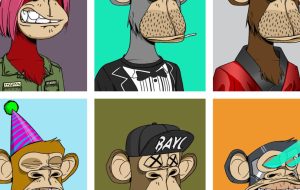 بنیانگذاران میمون بی حوصله هنوز به باشگاه قایق بادبانی ملحق نشده اند – CoinDesk