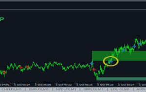 از شاخص های ارزی به نفع خود استفاده کنید – EUR ، GBP ، AUD ، NZD ، USD ، JPY ، CHF ، CAD – تجزیه و تحلیل و پیش بینی – 5 اکتبر 2021