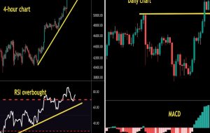 بیت کوین در قلمرو گاو باقی می ماند در حالی که MATIC Polygon در انتظار شکست است – CoinDesk