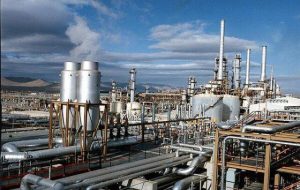 رنگ سبز پتروشیمیایی‌ ها بر چهره بورس کالا