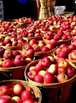 اختلاف قیمتی سیب از باغ تا تره بار چقدر است؟