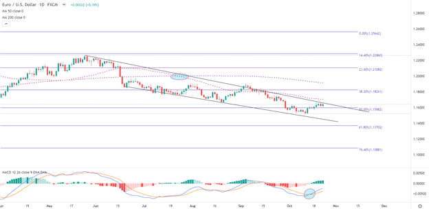 چشم انداز دلار آمریکا: سطوح کلیدی USD، USD/JPY، EUR/USD