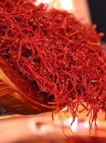 صفحهٔ درخواستی شما یافت نشد.