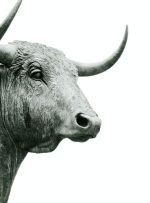 با افزایش حجم CME، ساختار عجیب بیت‌کوین ETF می‌تواند بخشی از آن را توضیح دهد.