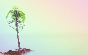 ارتقاء Taproot ممکن است از قبل به بیت کوین تبدیل شود