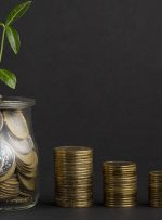 «ثمین» پذیره‌نویسی می‌کند – سنا