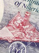 eNaira، اولین ارز دیجیتال بانک مرکزی آفریقا، روز دوشنبه معرفی شد