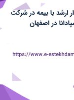 استخدام حسابدار ارشد با بیمه در شرکت سپاهان الیاف اسپادانا در اصفهان