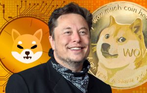 ایلان ماسک در مورد بهبودهای مهم Dogecoin بحث می کند و عدم سرمایه گذاری در Shiba Inu را تایید می کند – بیت کوین نیوز