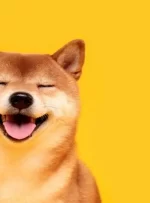 شیبا اینو با افت هفتگی قیمت بیت کوین به رکورد بالایی رسید