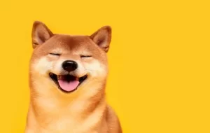 شیبا اینو با افت هفتگی قیمت بیت کوین به رکورد بالایی رسید