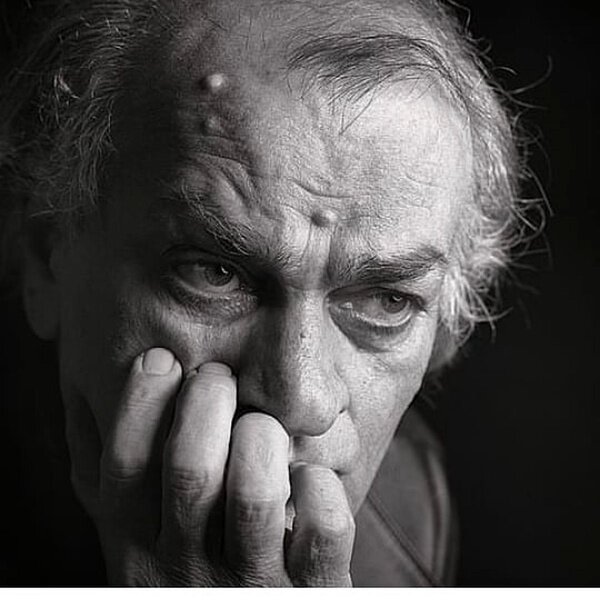 فتحعلی اویسی به خاک سپرده شد