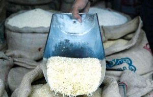 برنج ۹۵ هزار تومان شد/ حمله به برنج گران ایرانی با برنج معطر خارجی