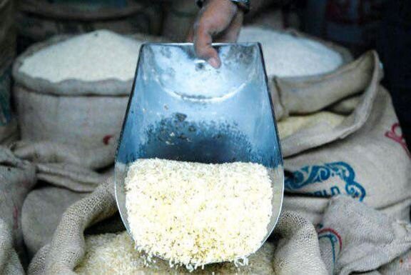 سلطان برنج کیست؟/ یک گونی ۱۰ کیلویی برنج مرغوب ایرانی، یک میلیون تومان