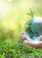 سبک زندگی سبز؛ چطور سبز زندگی کنیم؟