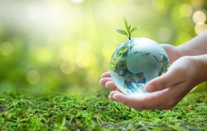 سبک زندگی سبز؛ چطور سبز زندگی کنیم؟