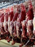 زارعی: گوشت الاغ و اسب می‌فروشند، اما زیاد نیست/ استفاده از گوشت گربه برای سوسیس و کالباس واقعیت دارد؟!
