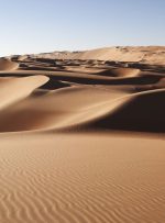 نسخه خطی کمیاب “Dune” از طرف DAO به قیمت 3 میلیون دلار خریداری شد، اما تنها 700 هزار دلار جمع آوری کرد.