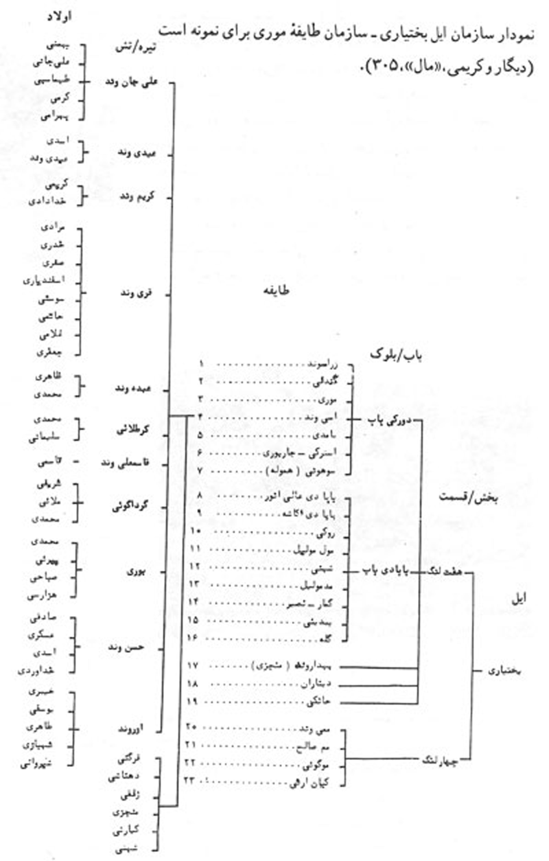 سازمان ایلی بختیاری