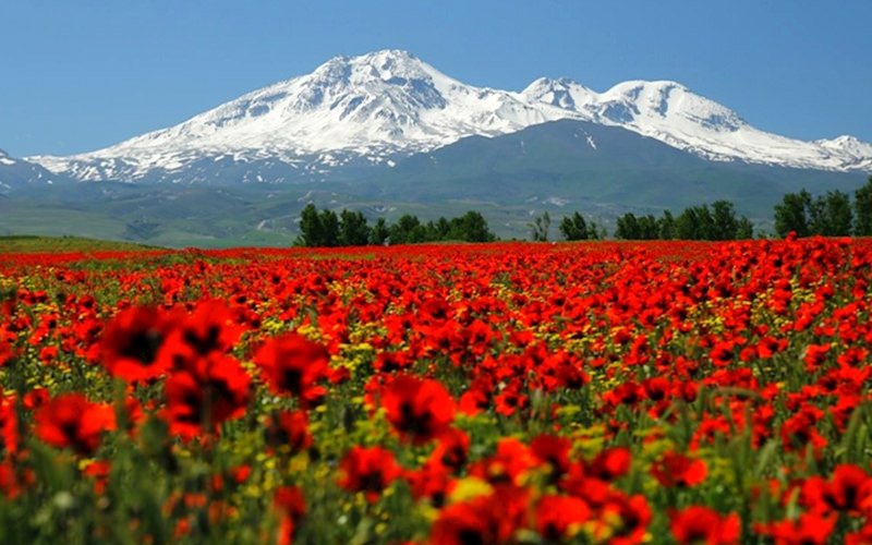 سبلان