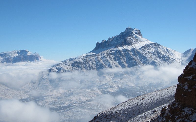 شیرکوه