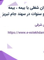 استخدام 10 عنوان شغلی با بیمه، بیمه تکمیلی، عیدی و سنوات در سهند جام تبریز