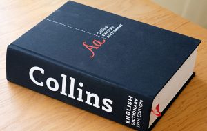 “NFT” به عنوان واژه نامه انگلیسی کالینز در سال 2021 “کلمه سال” انتخاب شد – اخبار بیت کوین