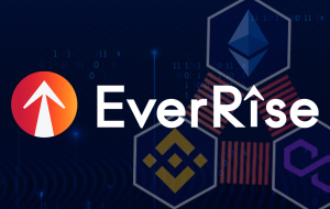 Project DeFi متمرکز بر امنیت، EverRise پروتکل ارتقاء داده و روی 3 بلاک چین راه اندازی شد – بیانیه مطبوعاتی Bitcoin News