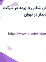 استخدام 10 عنوان شغلی با بیمه در شرکت سپاروک پخش پایدار در تهران