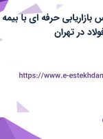 استخدام کارشناس بازاریابی حرفه ای با بیمه و مزایای عالی در تهران