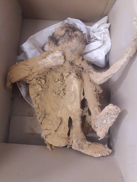 اطلاعاتی تازه از دو جسد مومیایی در ایران