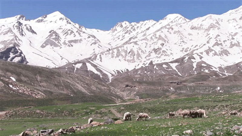 خاستگاه بختیاریها