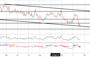 بیلی از BOE در مورد نرخ ها و تورم صحبت می کند