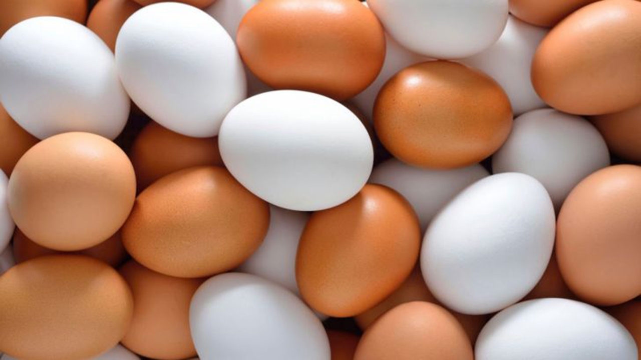 تخم مرغ به چه نرخی وارد بازار می شود؟