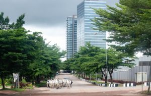 تشدید مبارزه بانک مرکزی نیجریه با معامله گران ارزهای دیجیتال – اخبار بازارهای نوظهور بیت کوین