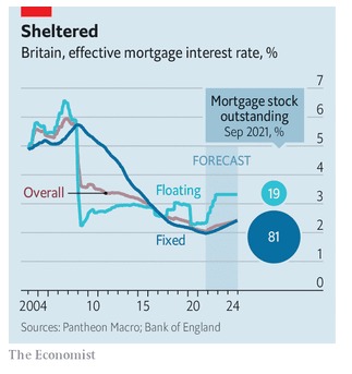 WhatsApp Image 2021-11-19 at 7.03.42 PM