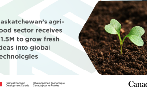 دولت کانادا در بخش کشاورزی و مواد غذایی ساسکاچوان سرمایه گذاری می کند