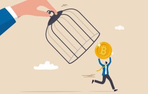 هدف گذاری بانک مرکزی از تراکنش های رمزنگاری P2P استارتاپ را مجبور به ترک نیجریه می کند – مقررات بیت کوین نیوز