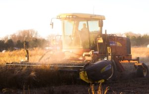 عرضه بیت کوین پیچیده بیش از دو برابر شده است، اما هک BadgerDAO خطرات انتقال بیت کوین به اتریوم را آشکار کرد.