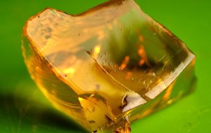 پلتفرم «DeFi 2.0» JellyFi 4.4 میلیون دلار را افزایش داد پلتفرم «DeFi 2.0» JellyFi 4.4 میلیون دلار را افزایش داد