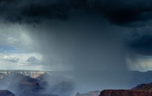 Play-to-Earn Platform Rainmaker Nabs $6.5M$ Seed Raund Play-to-Earn Platform Rainmaker Nabs $6.5M$ Seed Raund