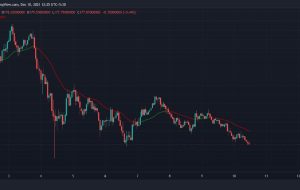 زیان های پولکادوت، سولانا، ترا، سرب در میان افت بازار زیان های پولکادوت، سولانا، ترا، سرب در میان افت بازار
