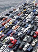پیش‌بینی یک کارشناس درباره واردات خودرو/ خودروسازان از زیان خارج شدند؟