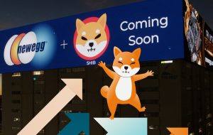 SHIB برای پرداخت در دسامبر پذیرفته می شود – Altcoins Bitcoin News SHIB برای پرداخت در دسامبر پذیرفته می شود – Altcoins Bitcoin News