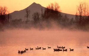 اولین محرک آسیا: بیت کوین، اتر آخر هفته ای آرام داشته باشید