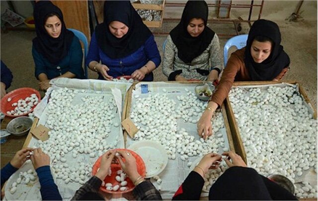 شغلهای پردرآمد که تحصیلات عالیه نمی خواهد