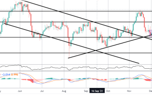 تجارت دسامبر FOMC |  آسیاب کنه